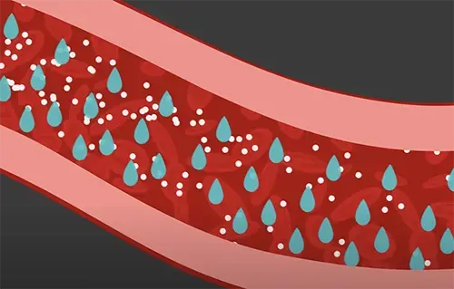 Thumbnail for Watch Out for Sneaky Sodium