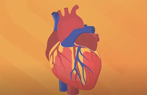 Thumbnail for Rx for a Healthy Heart